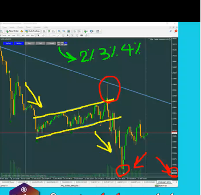 Sample live trading with training tips